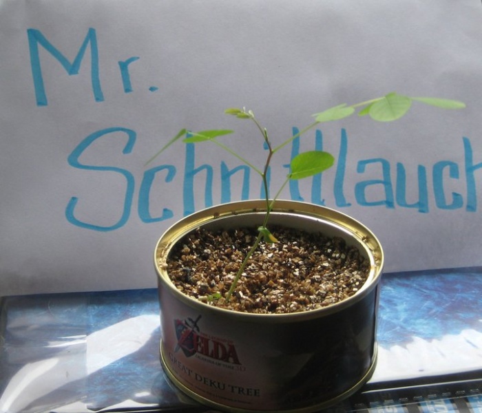 Datei:Mr. Schnittlauch (2) - Mit Namensschild.jpg